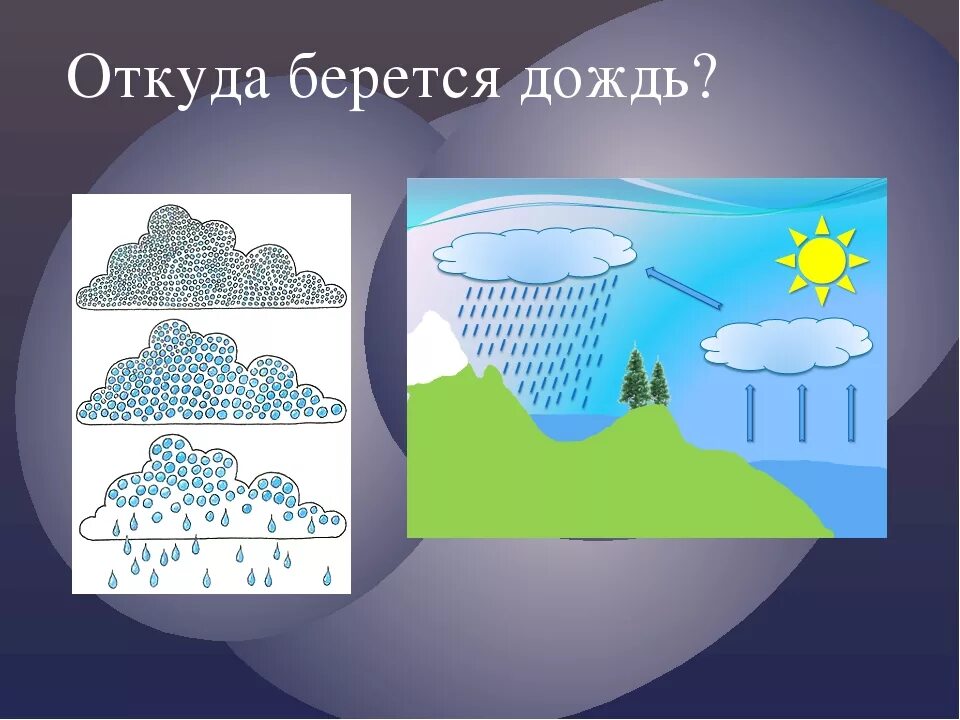 Откуда берется дождь. Откуда берутся осадки. Откуда дождь. Как появляется дождь картинка.