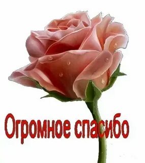 Спасибо есть немного
