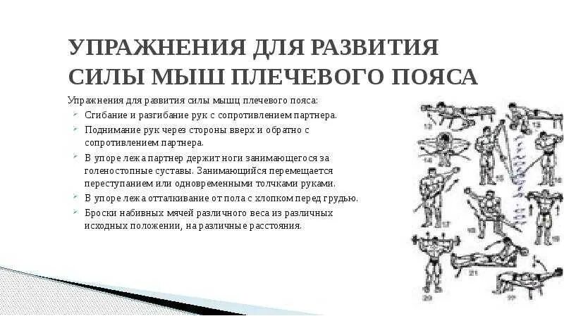 Упражнение для завитая силы. 1 упражнение для развития силы. Физические упражнения на силу. Упражнения для развития силы. Комплекс упражнений для развития силы мышц.