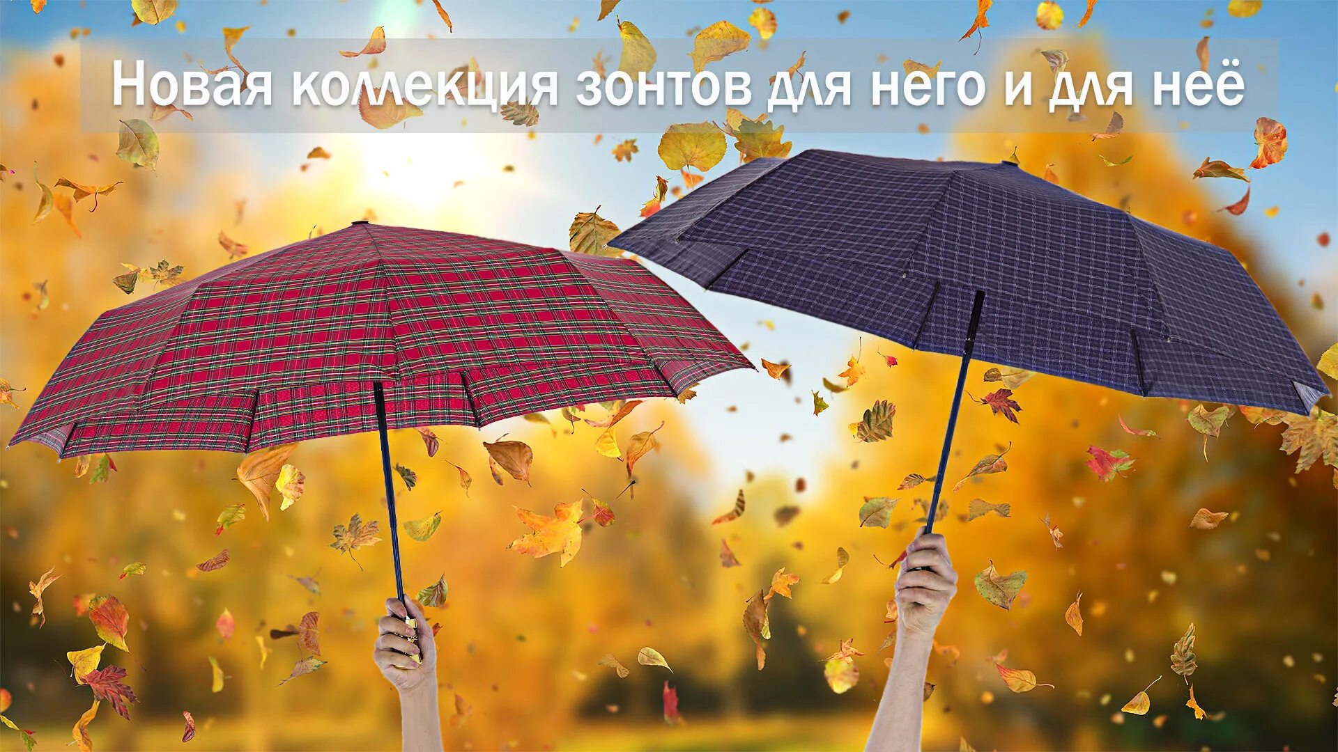 Прочитайте текст зонты в коробках