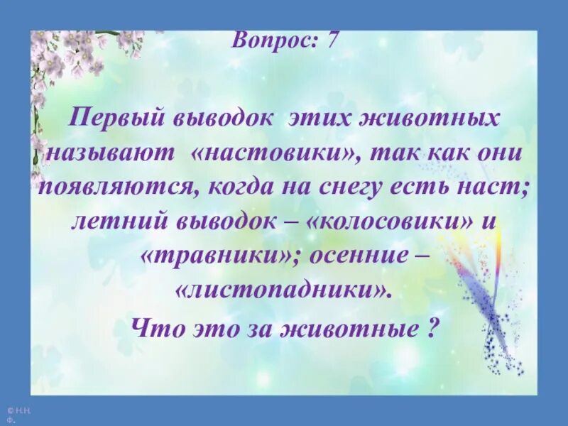 Часто приходилось мне наблюдать за выводком. Выводок стих. Настовики травники листопадники это. Настовик травник Листопадник.