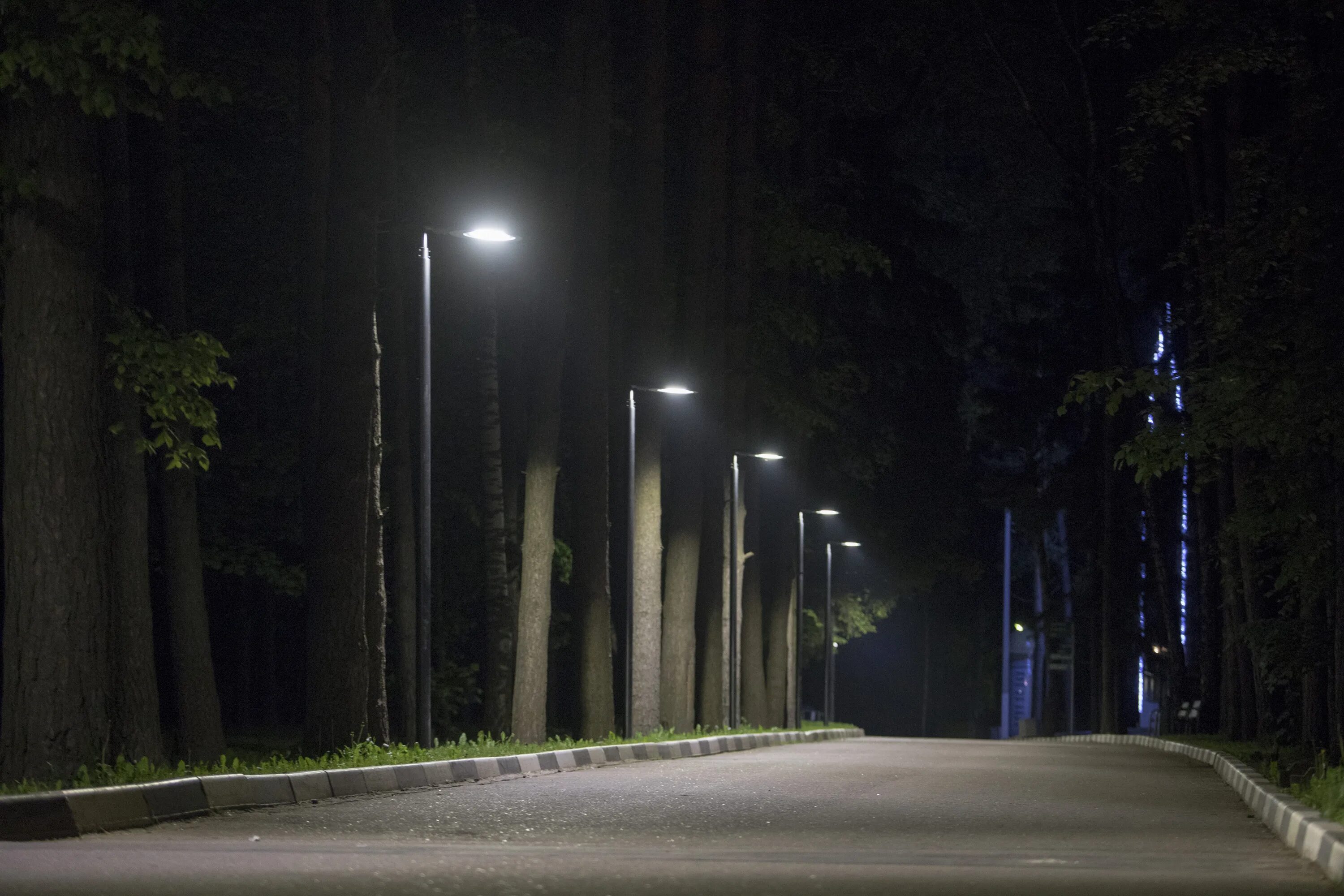 Фонари холодный свет. Уличное освещение парка. Уличное освещение в парках. Ночное уличное освещение. Ночное освещение парков.