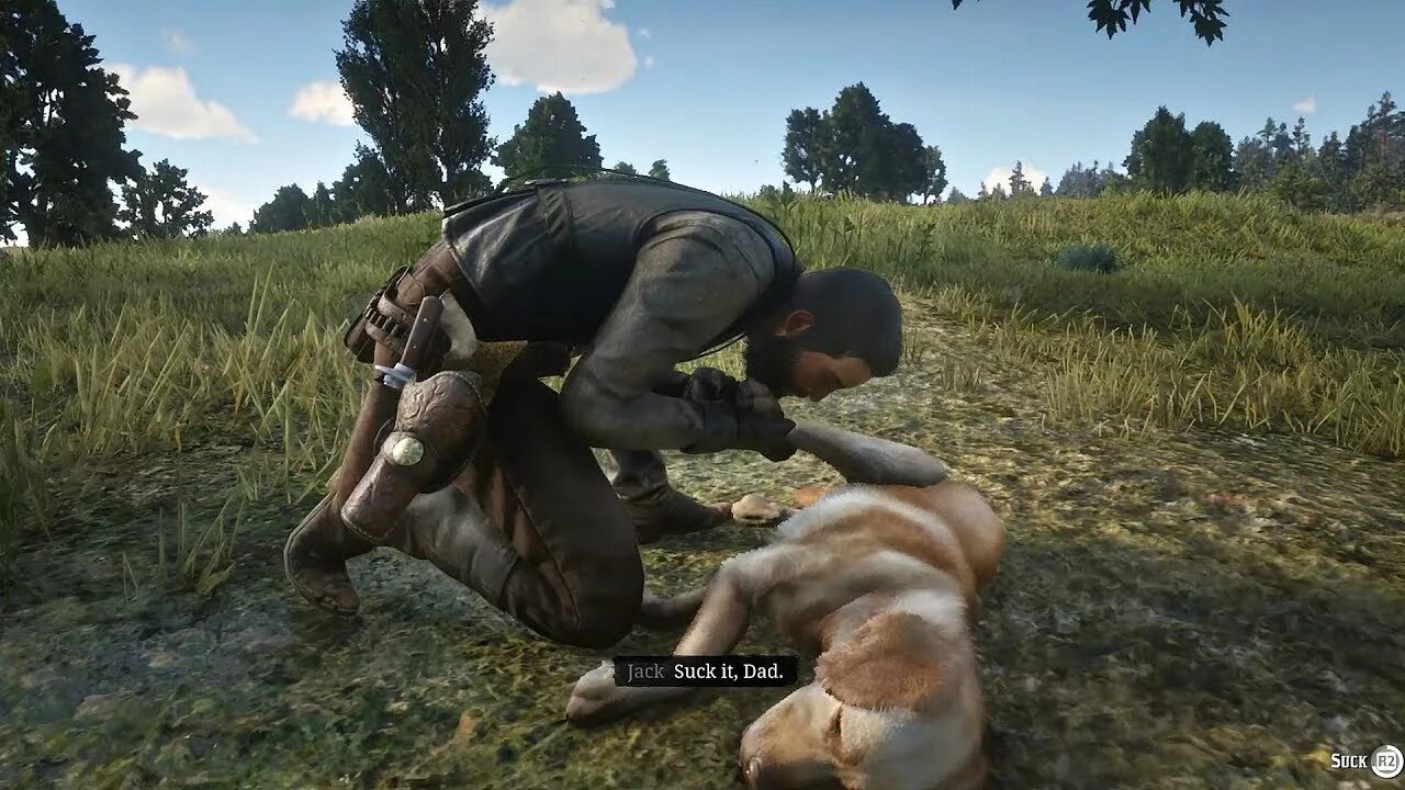 Red Dead Redemption 2 Dog. Red Dead Redemption 2 Джон Марстон. Red Dead Redemption 2 Руфус. Бюэлл РДР 2. Рдр 2 собаки