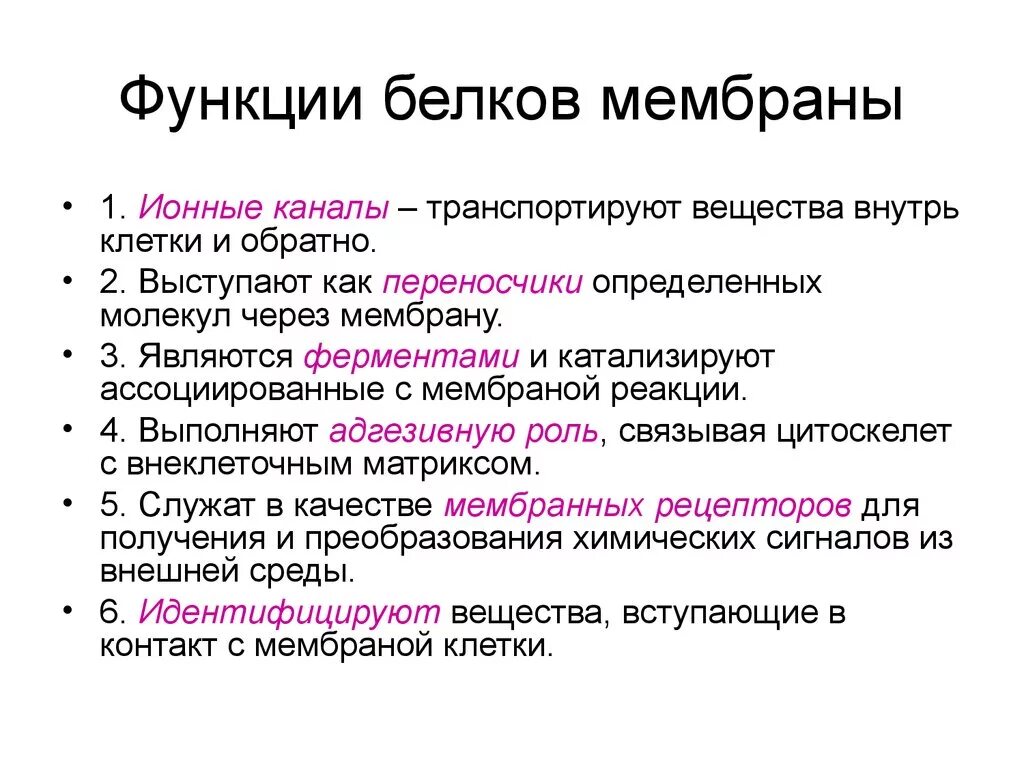 Перечислите функции белков мембраны. Функции белков в клеточной мембране. Функции белков в мембране клетки. Функции мембранных белков.