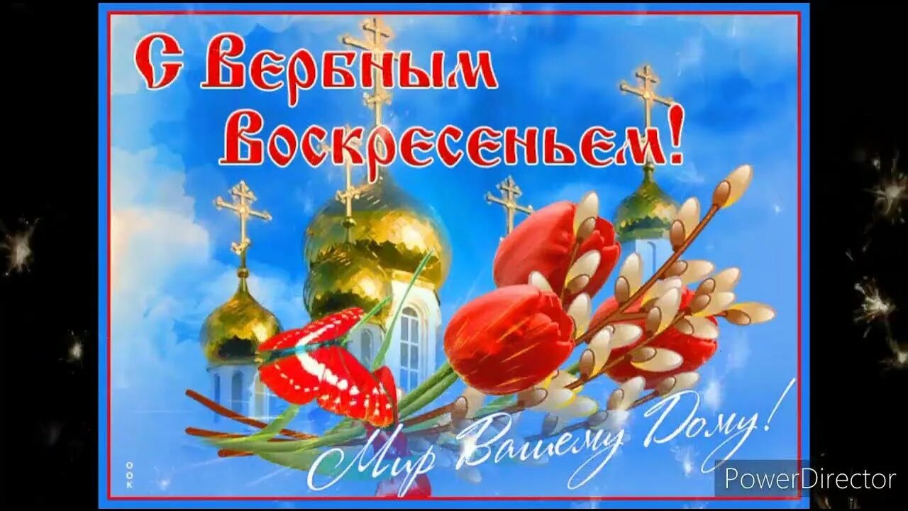 С вербным воскресеньем красивые картинки гифки. С вербным воскресеньем открытки. с вербным воскресеньем открытки красивые. открытие с вербным воскресеньем. с вербным воскресеньем открытки с поздравлением.