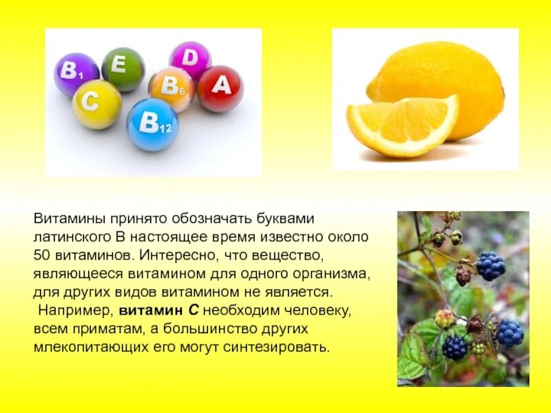 Витамины урок 8 класс. Буквы обозначающие витамины. Обозначение витаминов буквами. Цветные витамины. Витамины по буквам.