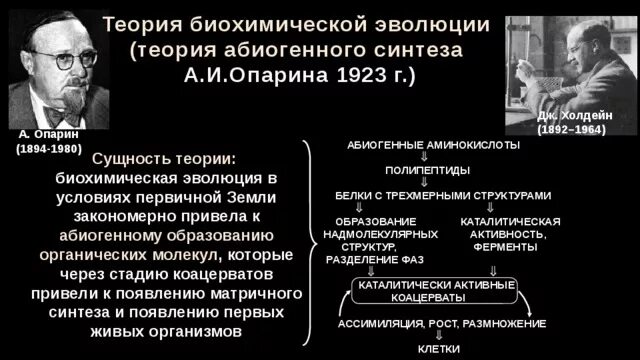 Этапы гипотезы опарина. Гипотеза биохимической эволюции Опарина Холдейна. Теория биохимической эволюции (теория Опарина-Холдейна). Абиогенное происхождение теория а Опарина. Биохимическая гипотеза (теория а.и. Опарина):.