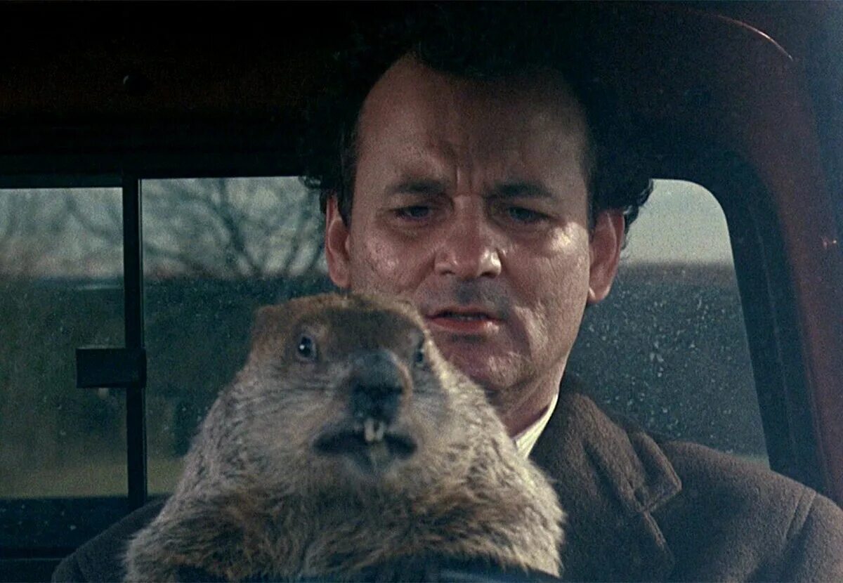 День сурка фила. Билл Мюррей и сурок. Билл Мюррей день сурка. Groundhog Day 1993. День сурка / Groundhog Day (1993).