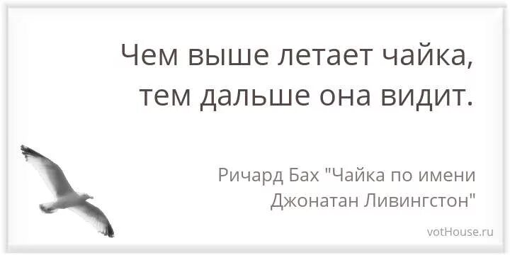 Чайка по имени Джонатан Ливингстон высказывания. Цитаты Ричарда Баха Чайка по имени Джонатан. Я вижу чайку учи ру