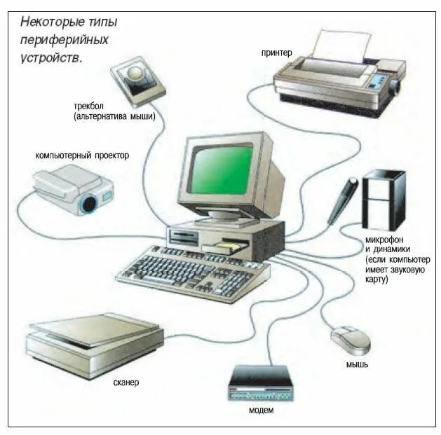 Computers peripheral. Peripheral devices. computer mouse device схема. периферийные устройства  the peripheral. input devices of computer.