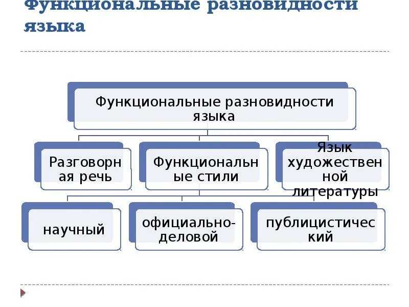 Что такое разновидность языка текста