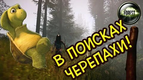 Forest черепаха