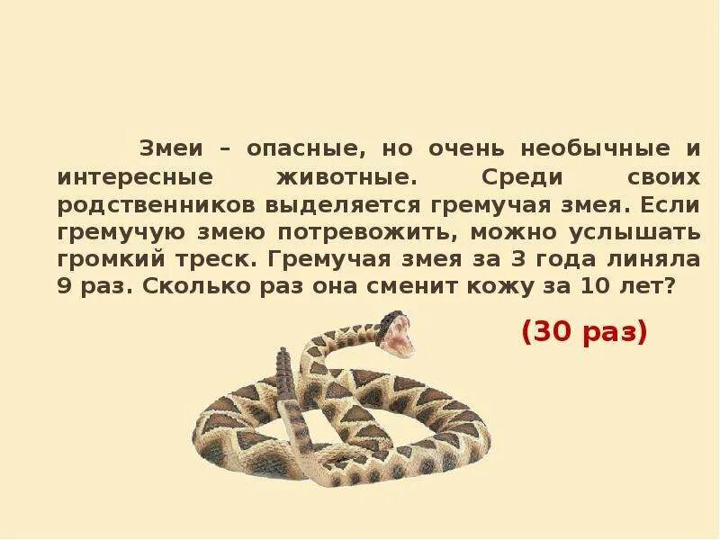 Сочинение змея 5 класс. Доклад про гремучую змею. Сообщение о гремучей змее. Гремучая змея доклад. Змея доклад.