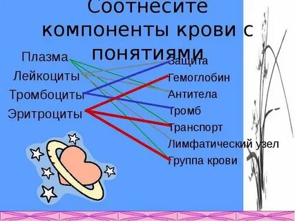 Соотнесите компоненты