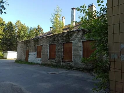 Хвойный красное село