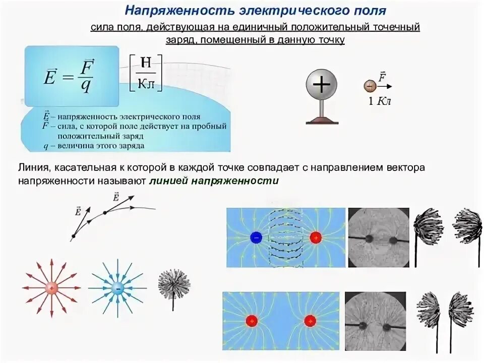 Линии электрической напряженности 1 положительного заряда. Рисунки линий напряженности электростатического поля. Графическое изображение электрических полей. Напряженность электростатического поля силовые линии. Могут ли линии напряженности касаться друг друга.