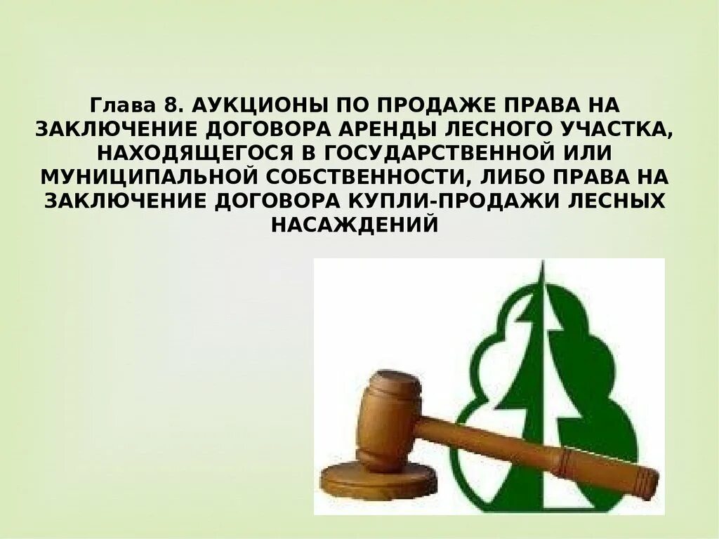 Продажа право заключения договора аренды. Договор аренды лесного участка. Договор аренды лесных участков. Договор аренды лесных насаждений. Аукцион договор аренды лесного участка.