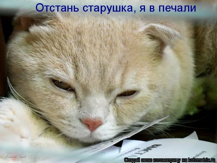 Что хорошего в печали. Отстань. Картинка отстаньте. Я В печали. Отстань в печали.