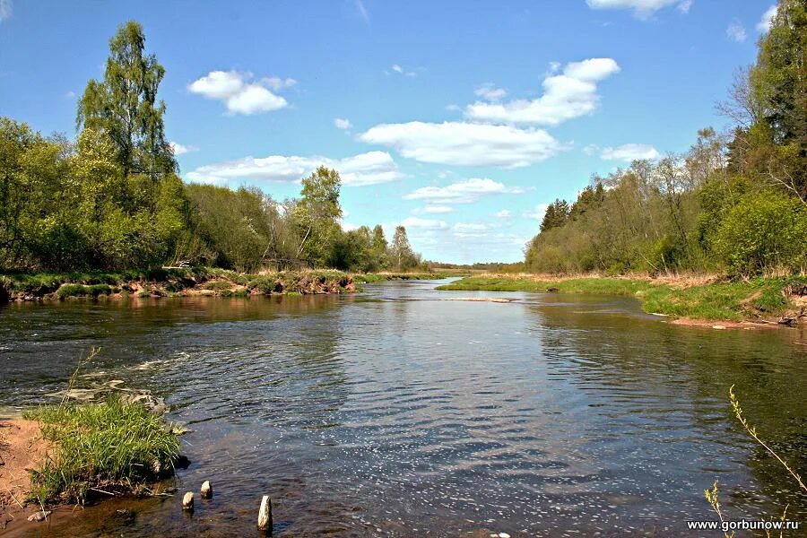 Лето жара река. На реке в жару. Летом на речке. Жара речка. Жара река.