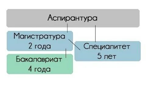 Бакалавриат и специалитет срок обучения