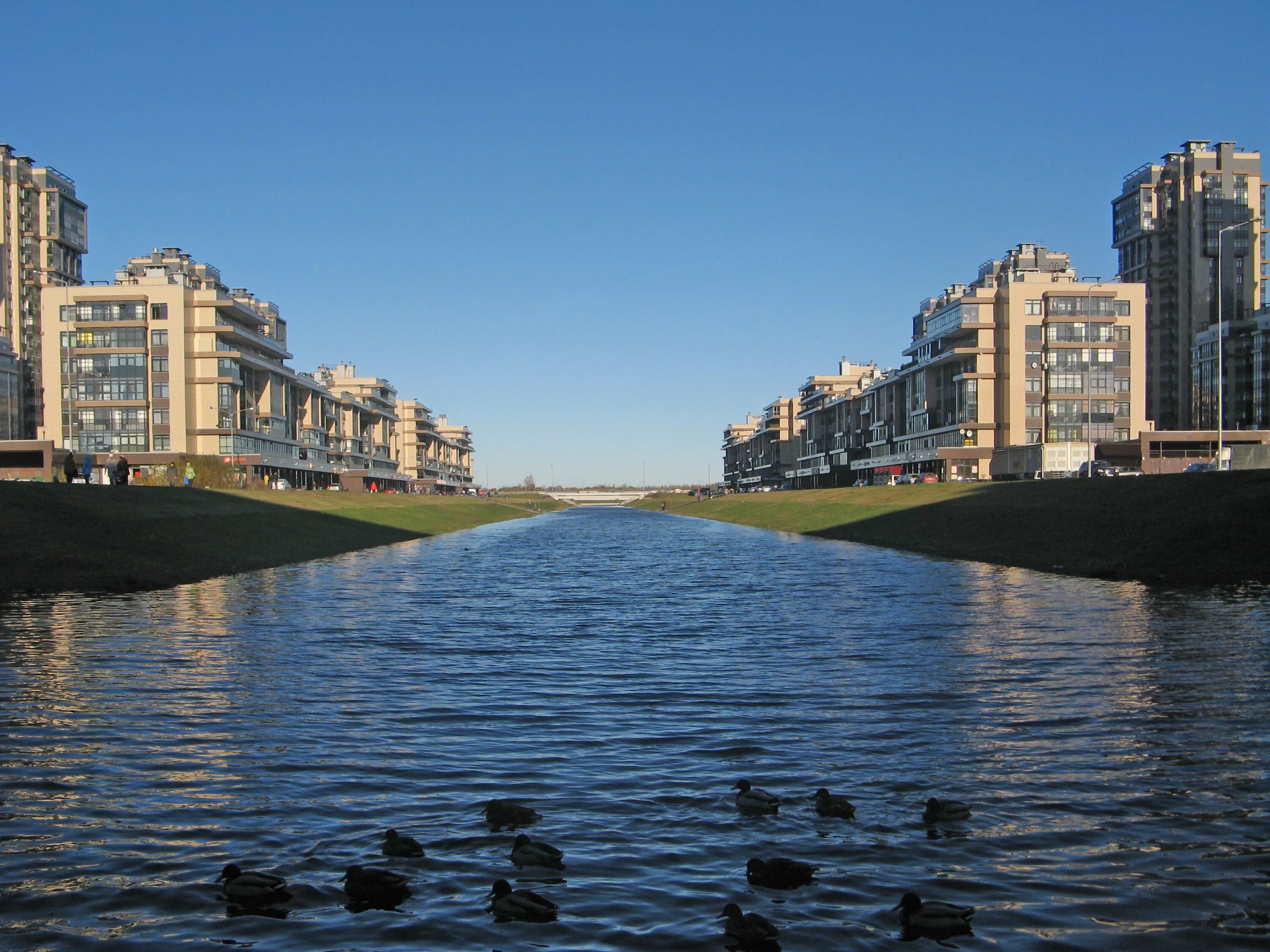 Первый канал санкт петербург. 107. Первый канал санкт петербург. Диктор телеканал санкт-петербург. Гимназия северная венеция санкт-петербург.