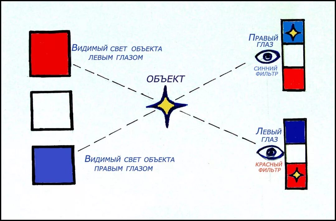 Точка зрения на объект. Как видит левый и правый глаз. Принцип стереоскопии. Изображение с правого и левого глаза. Правый и левый зрение.