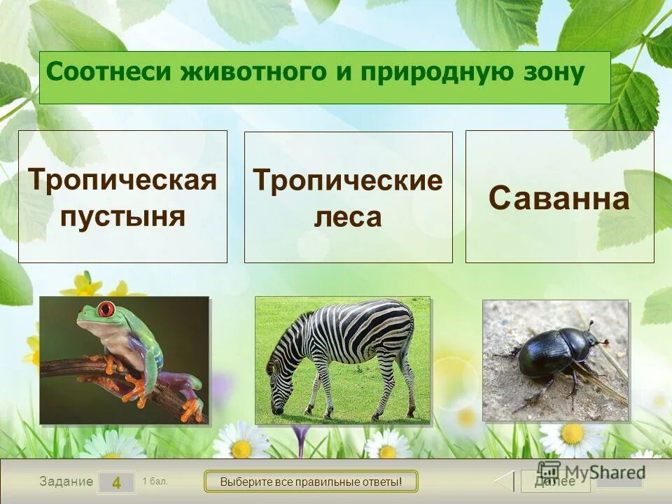 Рассели животных по природным. Пустыня природная зона россии животные. Природные зоны растительный и животный мир. Соотнеси животное и природную зону. Соотнести животных и природную зону задание.
