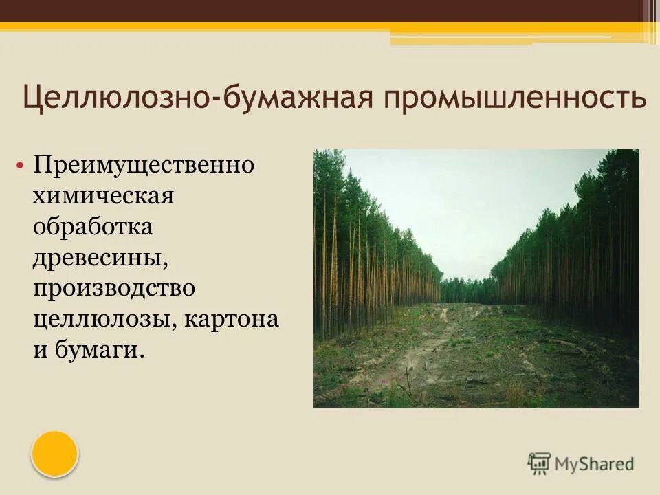 Лесная промышленность презентация 10 класс. Целлюлозно бумажная обработка леса. Лесная промышленность химическая обработка. Отрасли Лесной химической обработки. Лесная промышленность обработка леса.