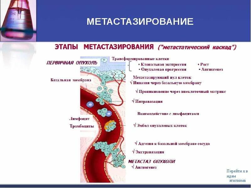 Что такое экстравазация
