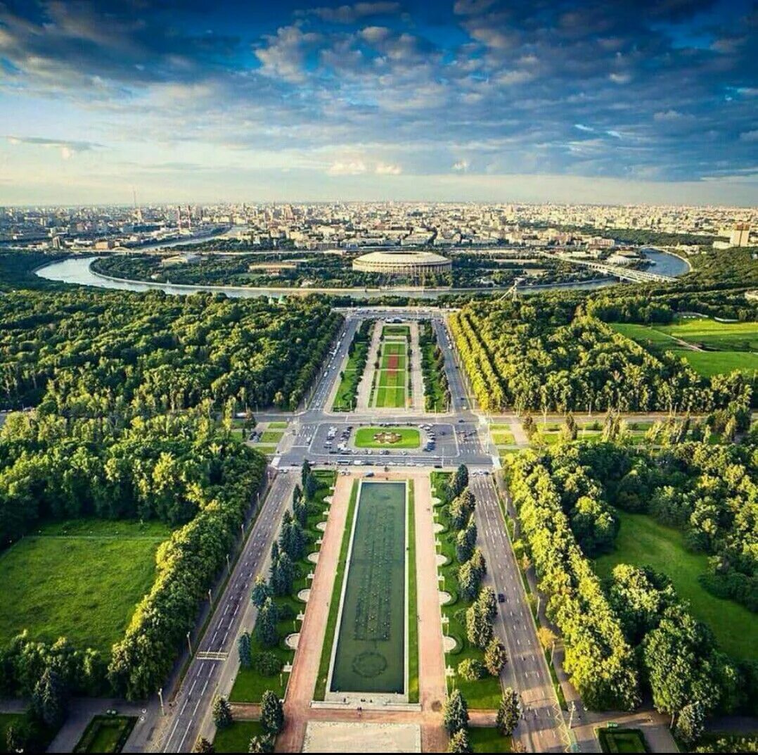 Москва Воробьевы горы. Москва аллея МГУ. Александрия парк с высоты. Воробьевы горы аллея. Зеленая зона земля