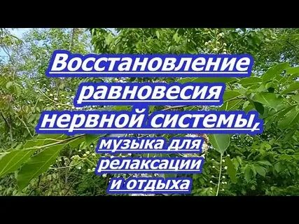 Равновесие нервной системы