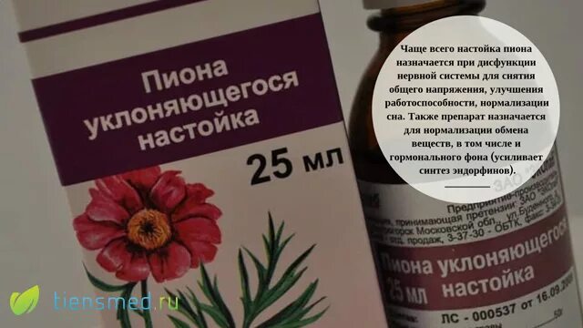 Как пить настойку пиона. Настойка пиона уклоняющегося. Настойка для улучшения работоспособности. Настойка для нормализации гормонального фона. Пион для нервов.