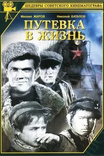 Проект путевка в жизнь