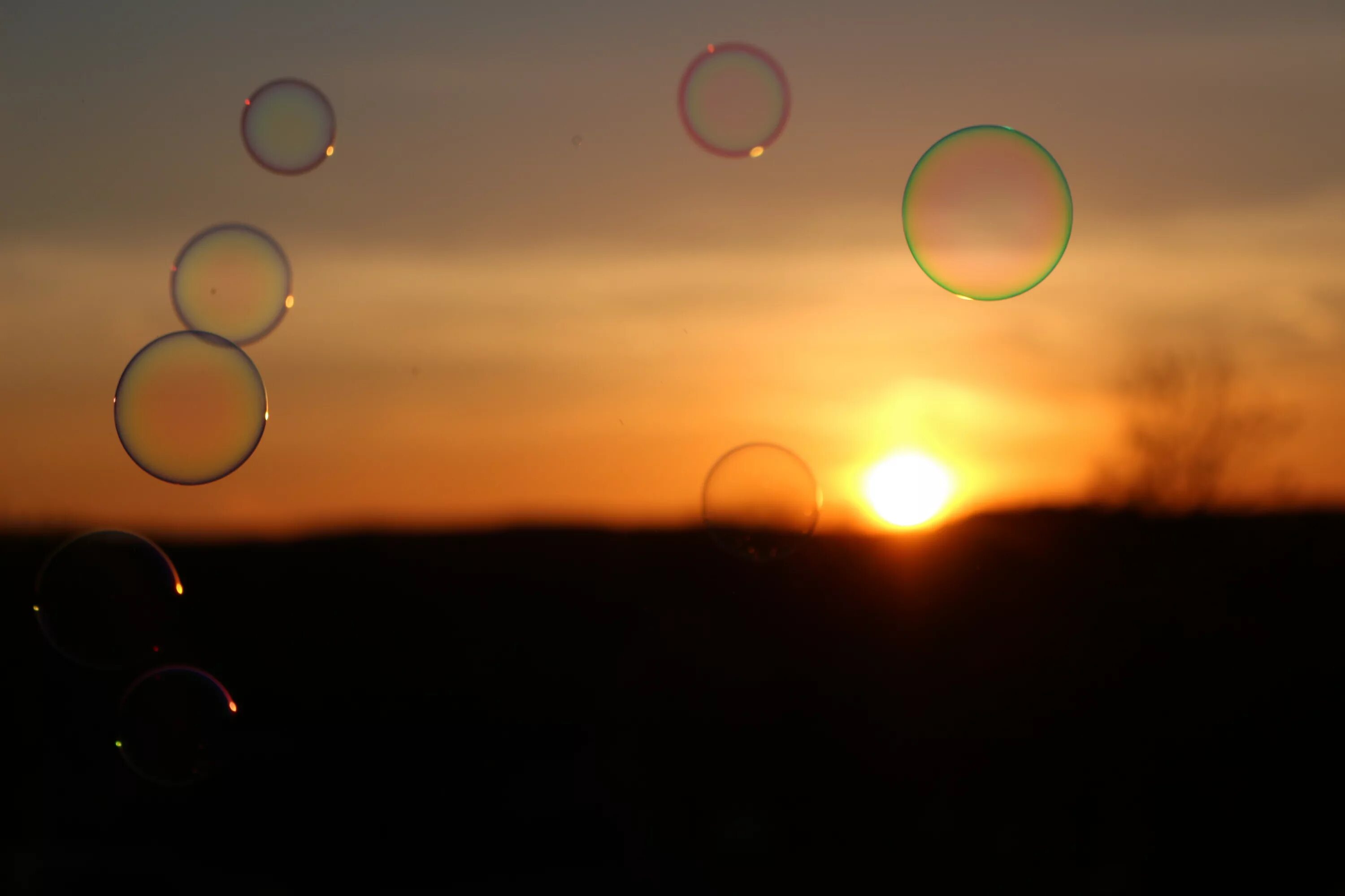 Круг вечер. Мыльные пузыри на закате. Мыльные пузыри на солнце. Эстетика мыльных пузырей и заката.