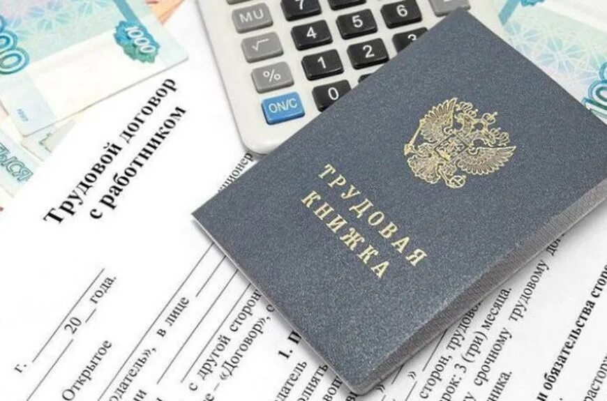 Соц выплата по безработице. Трудовая книжка и деньги. выплата пособий по безработице. пособие по безработице фото. фиктивное трудоустройство.