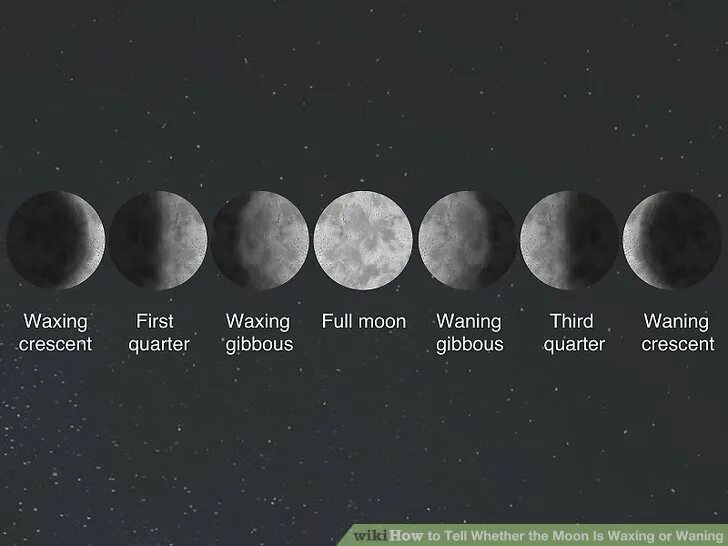 Растущая луна 2024 г. Луна в Южном полушарии. Как определить растущая Луна или стареющая. Как определить растущую луну. Как определить растущую и убывающую луну.