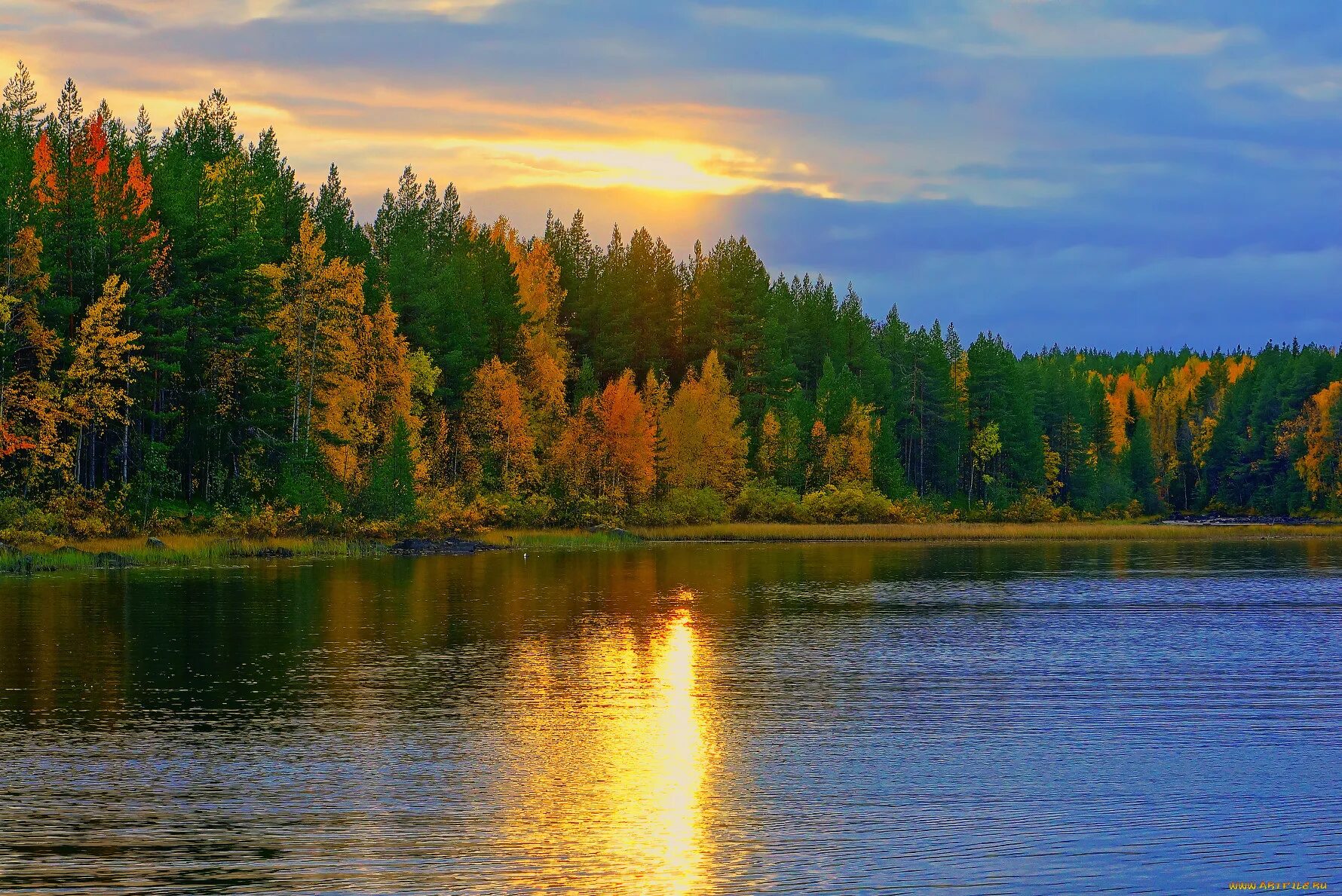 Красота воды река. Озеро Ханто Ноябрьск. Ханто Ноябрьск озеро 2. Озера Удмуртии. Тайга в Удмуртии.