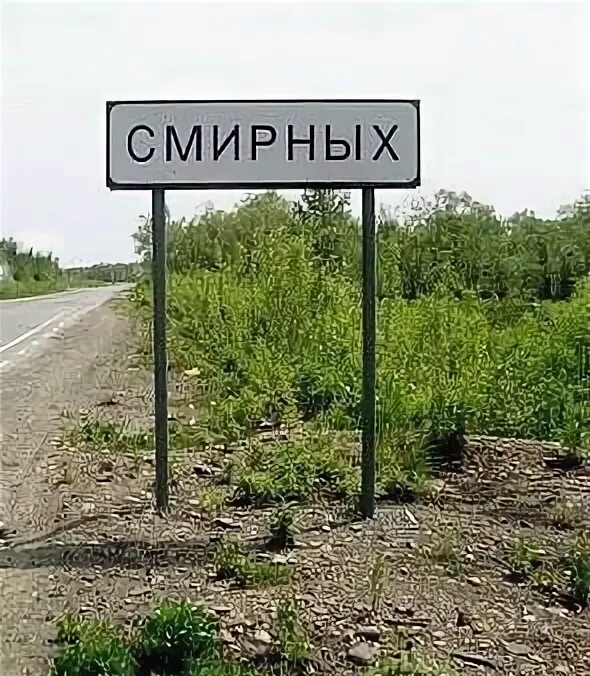 Аптека изображение. Аптека смирных. Поликлиника больница аптека кирова. Аптека лого. Аптека смирных.