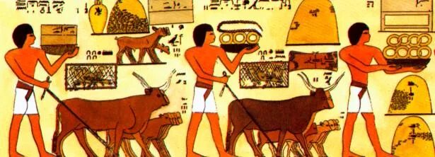 Учет налогов в древнем египте вели