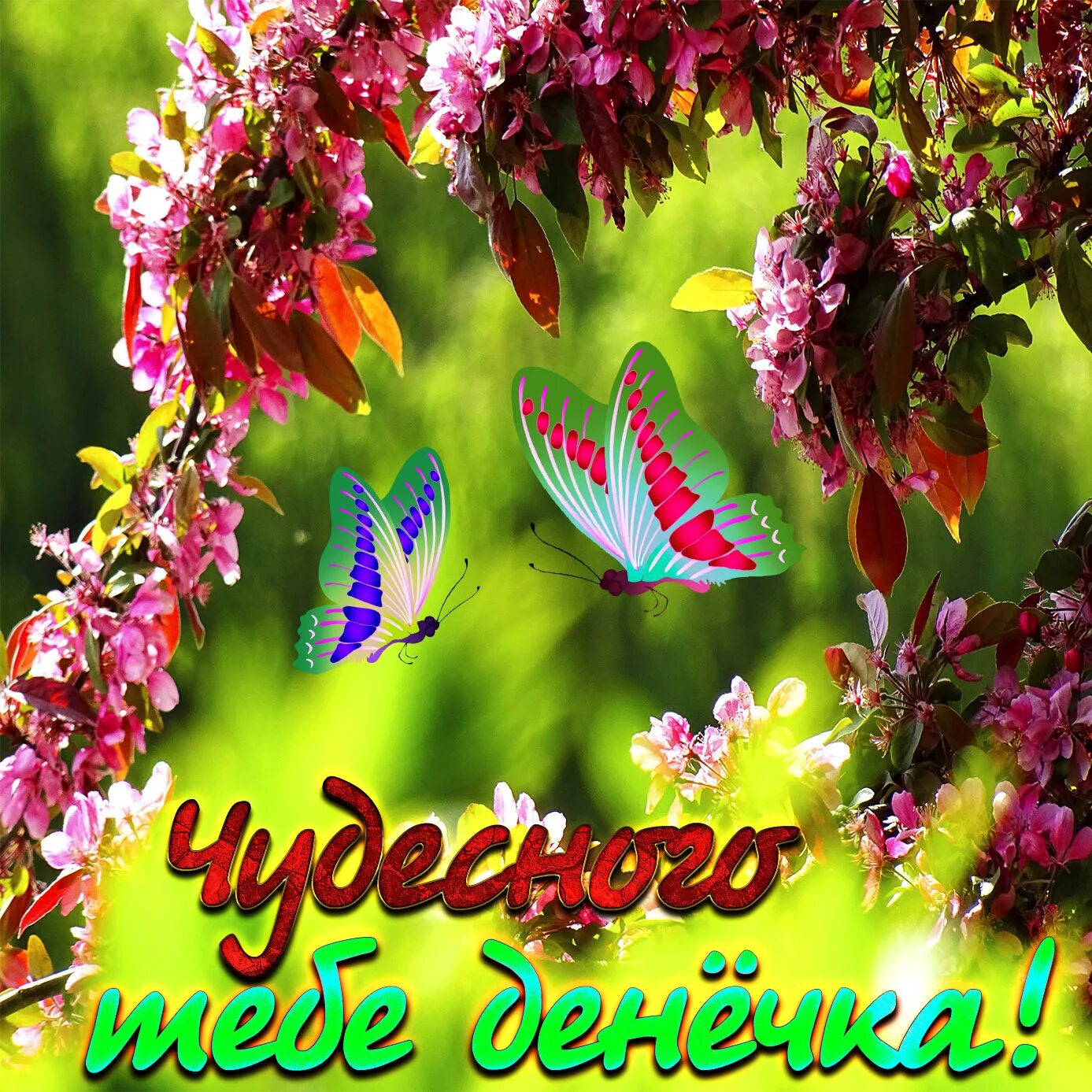 Удачного дня природа. Доброго летнего дня. Лето бабочки. Красивого яркого дня картинки