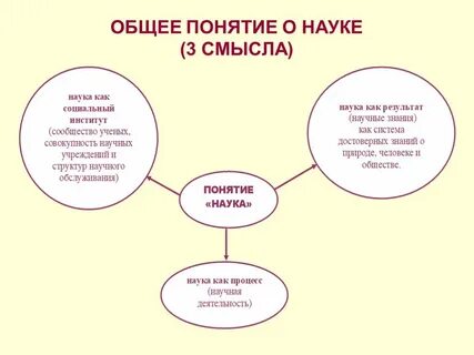 Роль понятия в научном познании