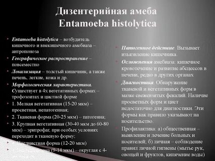 Дизентерийная амеба способ заражения