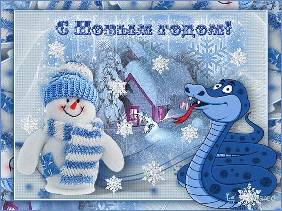 презентация год 2013