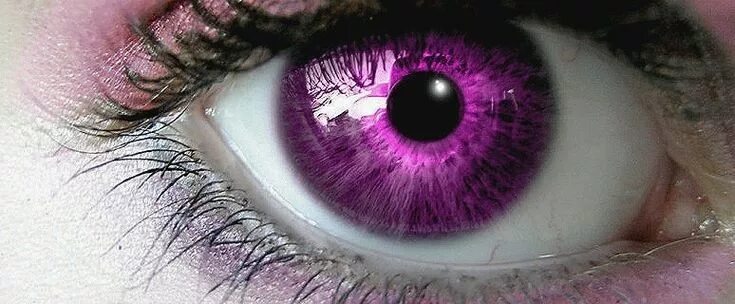 Как выглядит фиолетовый цвет глаз Sheilagh Erwin Carsjens adlı kullanıcının Eyes are the window to the soul! panos