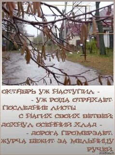 Вот и октябрь наступил
