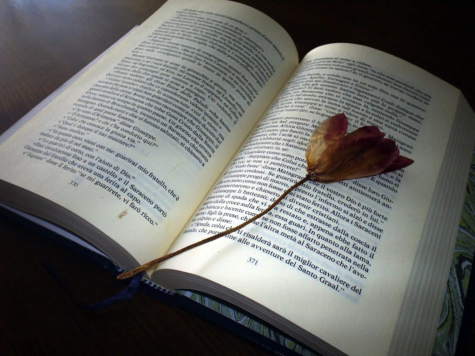 В книге 28 страниц. Засушенный цветок в книге. Книжная страница. Красивые книги стихов. Цветы из книги.