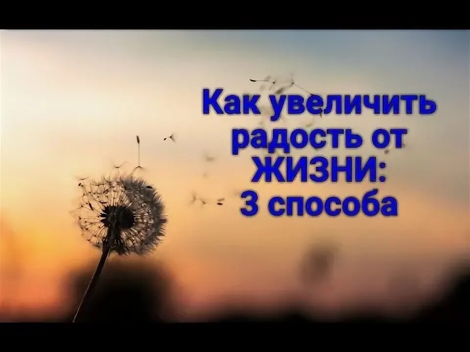 Прибавить радости. Прибавить радости