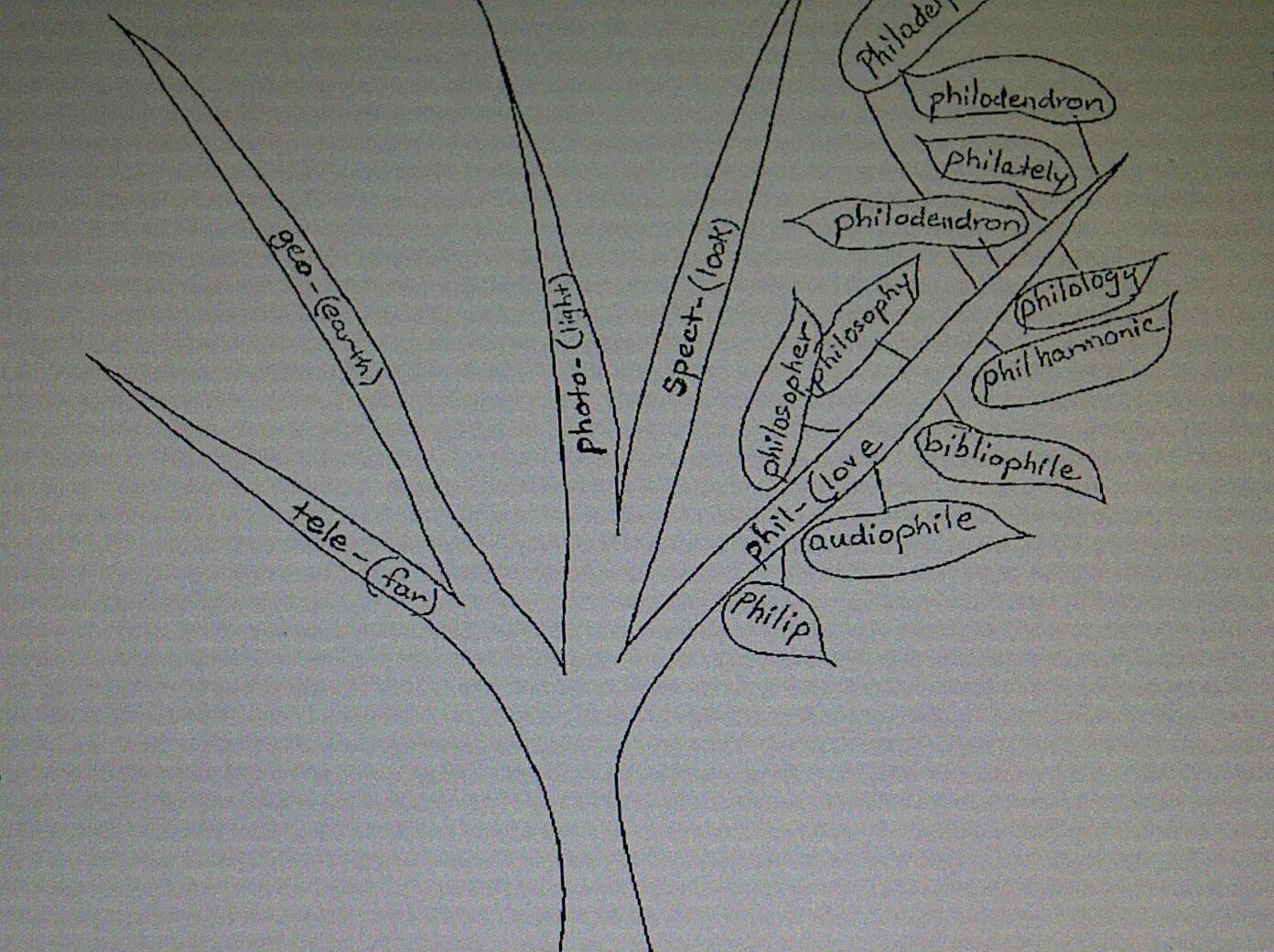 Vocabulary Tree Computer ответы. Tree Word. Trees Vocabulary. Prefix Tree. Как написать слово деревья