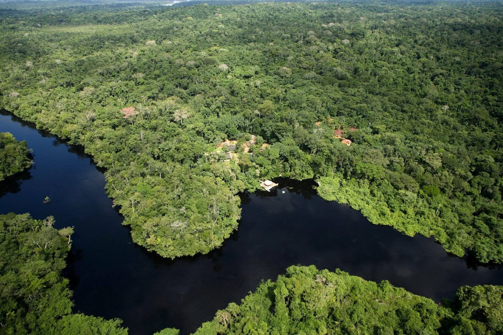 Джунгли бразилии. Бразилия тропические леса Сельва. Сельва амазонки, Южная Америка. Тропические леса амазонки в Бразилии. Амазонка Пантанал.