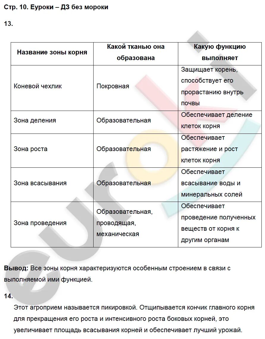 Биология 6 класс тетрадь Пасечник страница 10. Биология 6 класс тетрадь Пасечник задания. Биология 6 класс рабочая тетрадь Пасечник. Памятка по биологии 6 класс.